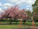 Image: Woodbeck Play Park