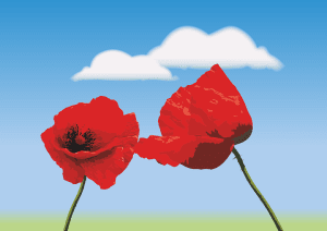 Crafts- Poppy Sculpture 6.30pm to 8.30pm