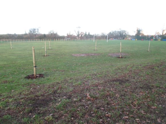 Community Apple Orchard & Pinder Park Hedge Planting Dec 2018 4