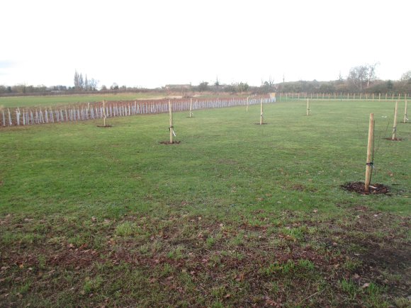 Community Apple Orchard & Pinder Park Hedge Planting Dec 2018 5